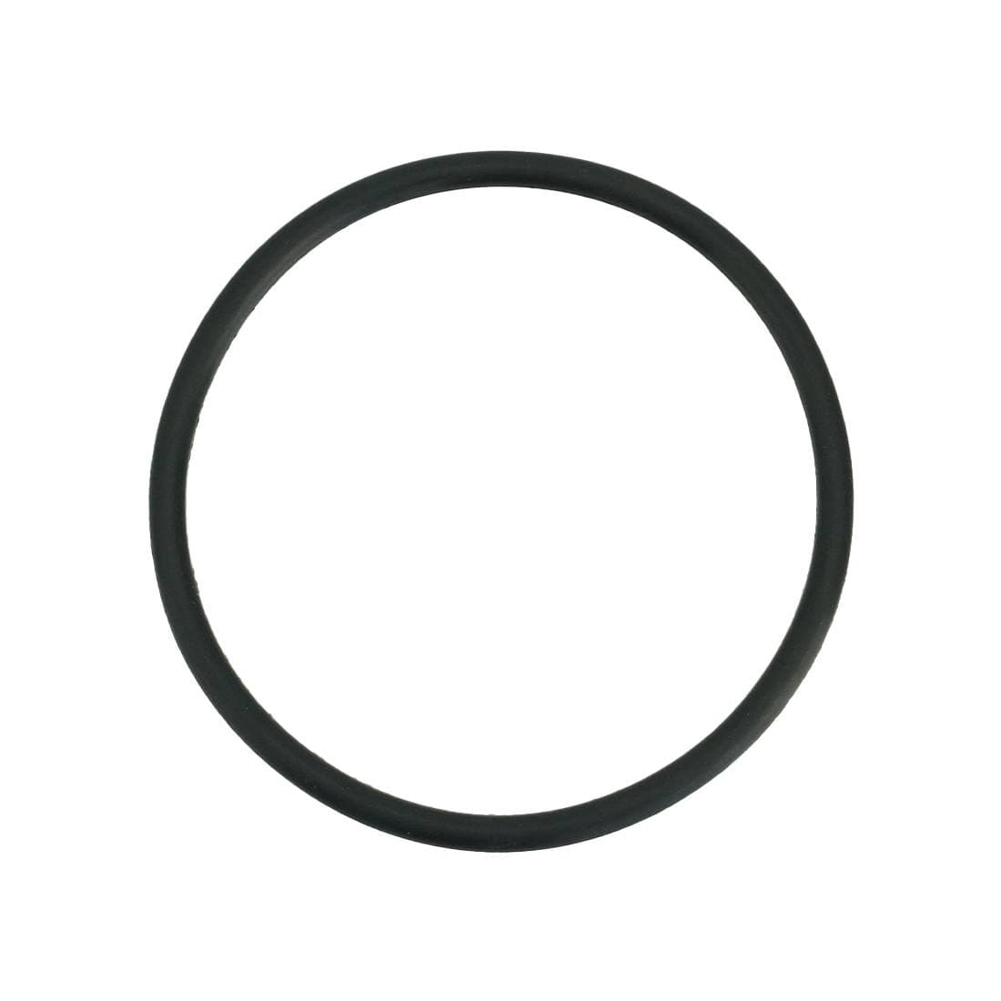 PWP Stainless Steel Housing O-Ring - Large