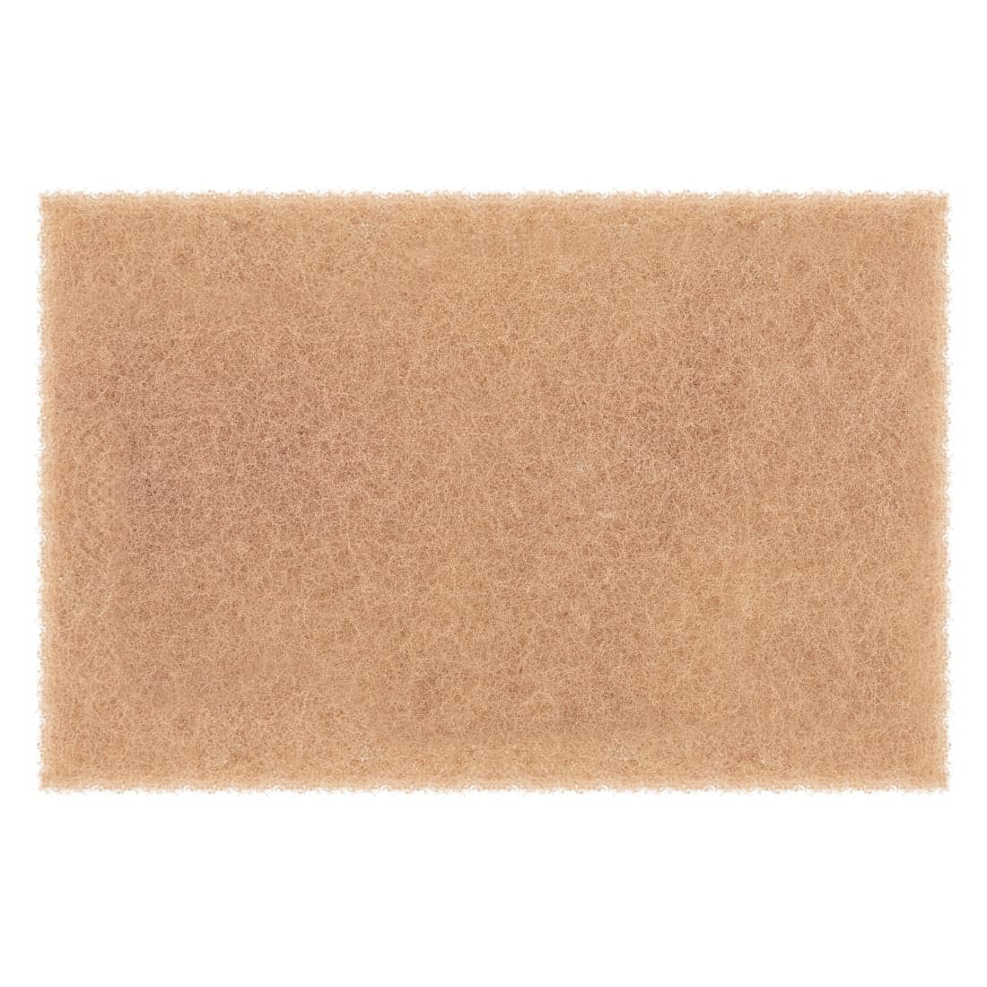 PWP Walnut Scrub Pad - 10 Pack